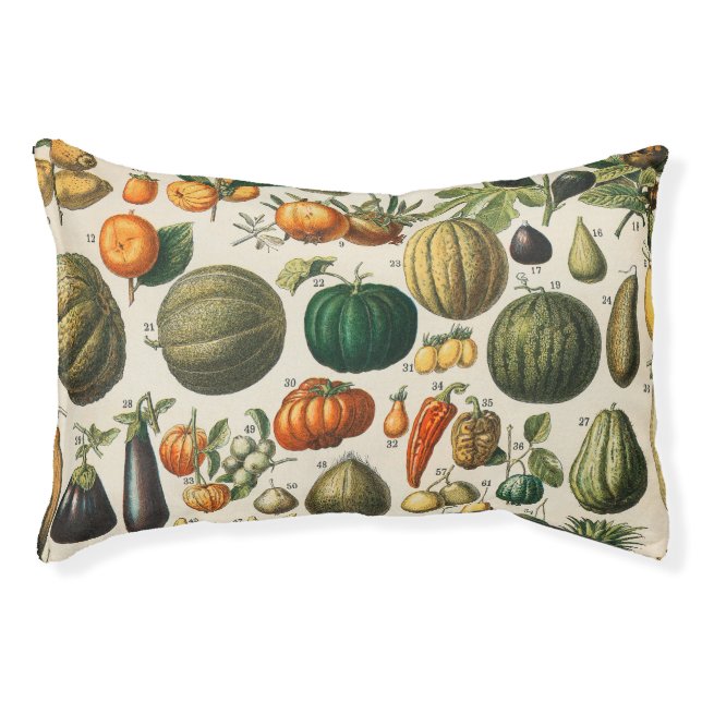 Fruit Vegetable Botanical Scientific Illustration Pet Bed (Front)