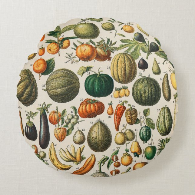 Fruit Vegetable Botanical Scientific Illustration Round Pillow (Front)