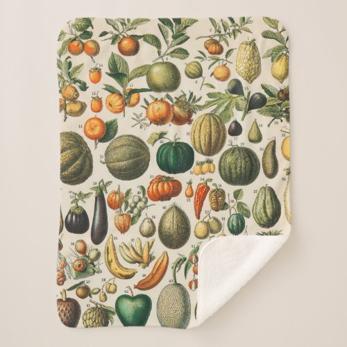 Fruit Vegetable Botanical Scientific Illustration Sherpa Blanket