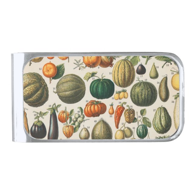 Fruit Vegetable Botanical Scientific Illustration Silver Finish Money Clip (Front)