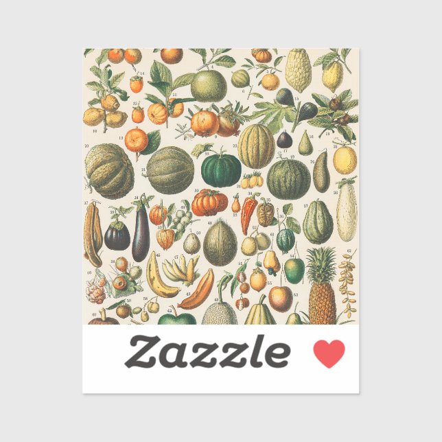 Fruit Vegetable Botanical Scientific Illustration Sticker (Sheet)
