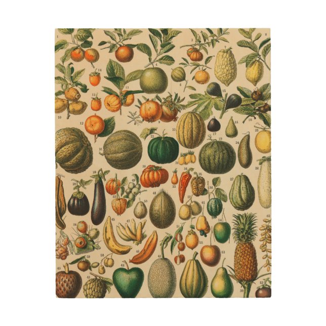 Fruit Vegetable Botanical Scientific Illustration Wood Wall Art (Front)