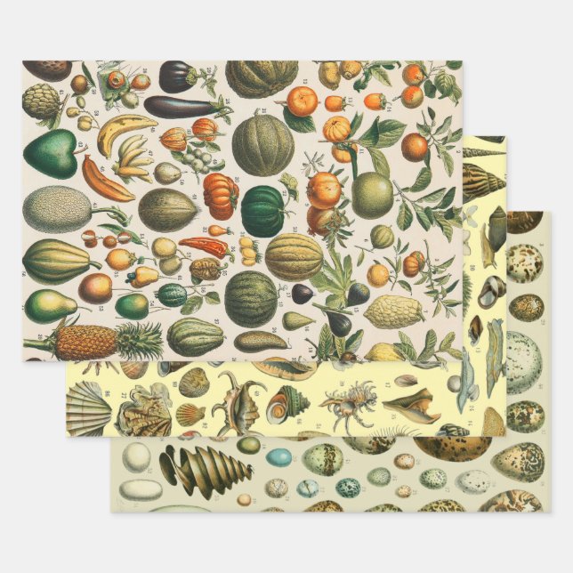 Fruit Vegetable Botanical Scientific Illustration Wrapping Paper Sheets (Set)