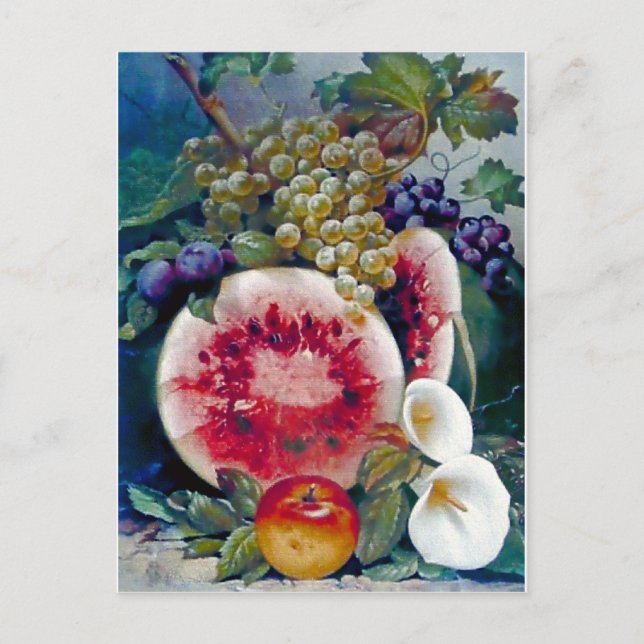 Fruit Watermelon Grape Apple Still life Postcard (Front)