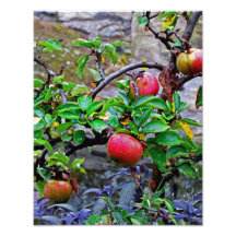 Fruitful in Scotland