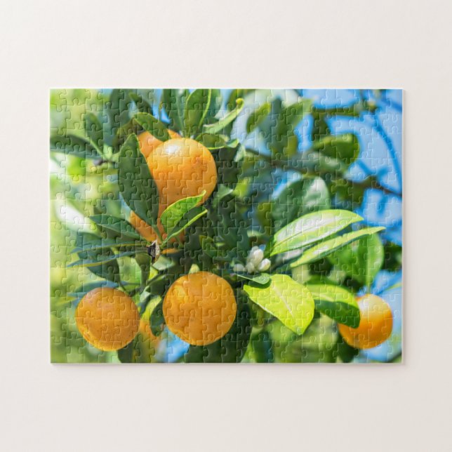 Fruiting Orange Tree Jigsaw Puzzle (Horizontal)