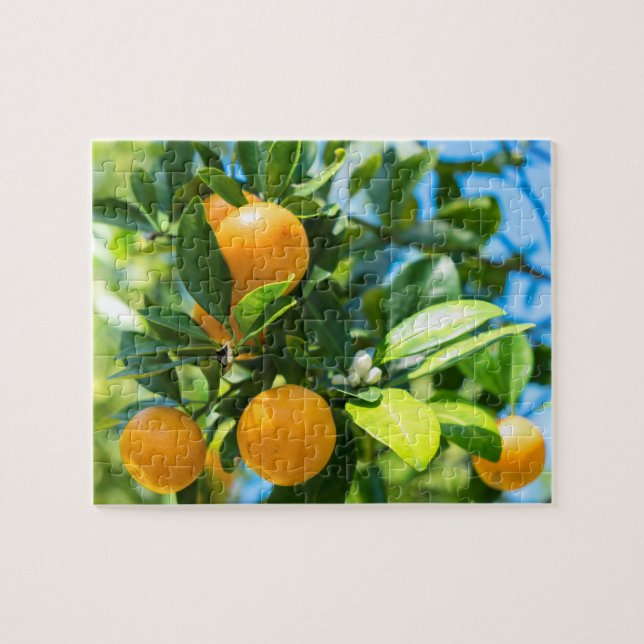 Fruiting Orange Tree Jigsaw Puzzle (Horizontal)