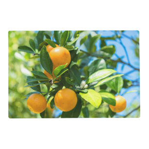Fruiting Orange Tree Placemat