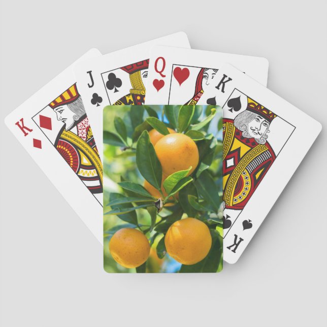 Fruiting Orange Tree Poker Cards (Back)