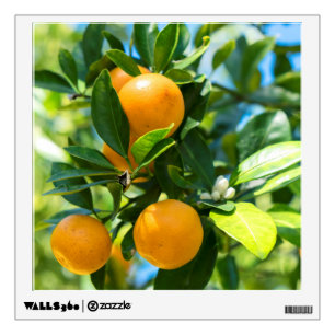 Fruiting Orange Tree Wall Decal