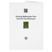 Fruiting Rattlesnake Fern (Botrypus virginianus) Cards (Back)