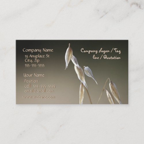 Fruiting Wild Oat business card template
