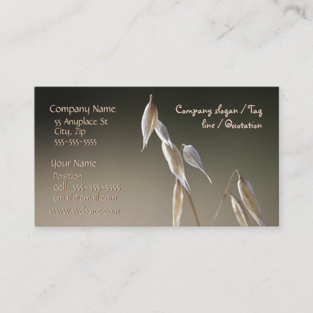 Fruiting Wild Oat business card template (Front)