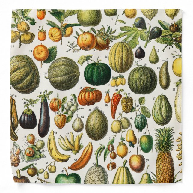 Fruits and Vegetables Bandana (Front)