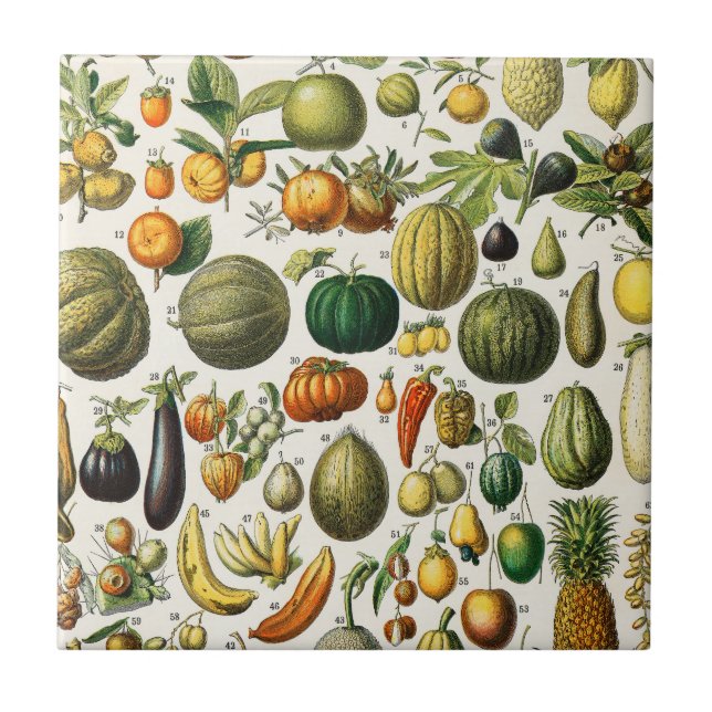 Fruits and Vegetables  Ceramic Tile (Front)