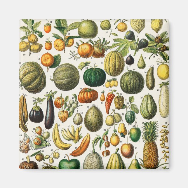 Fruits and Vegetables Magnet (Front)