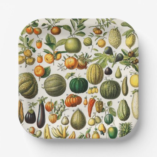 Fruits and Vegetables  Paper Plates