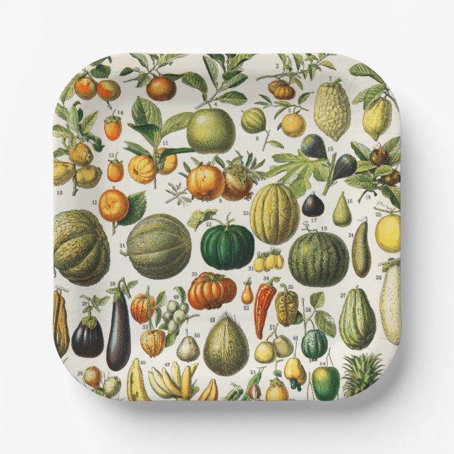 Fruits and Vegetables  Paper Plates (Front)