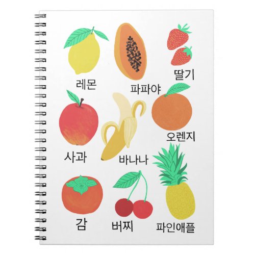 Fruits Flash Cards Korean Fruity Fun Food Art  Notebook