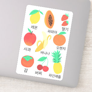 Fruits Flash Cards Korean Fruity Fun Food Art Sticker