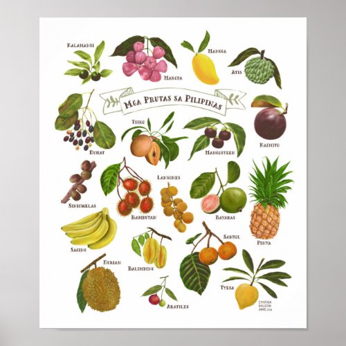 Fruits in the Philippines Poster