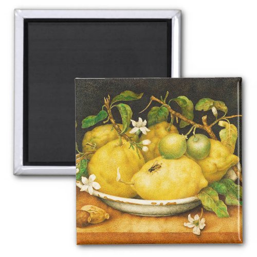 FRUITS LEMONS AND WHITE FLOWERS MAGNET