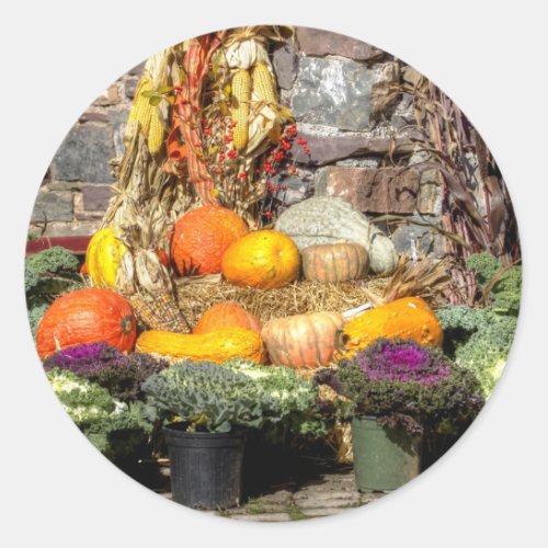 Fruits Of The Autumn Harvest Classic Round Sticker