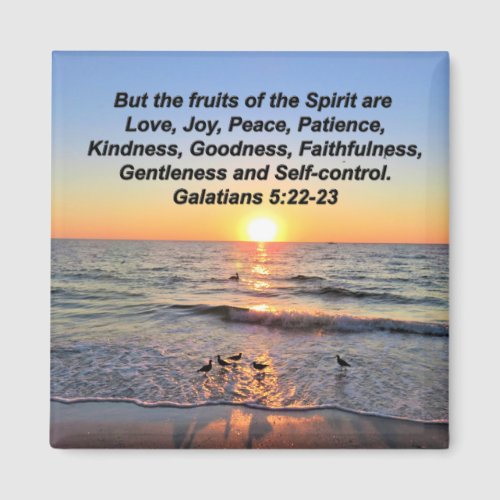 FRUITS OF THE SPIRIT GALATIANS 5 MAGNET