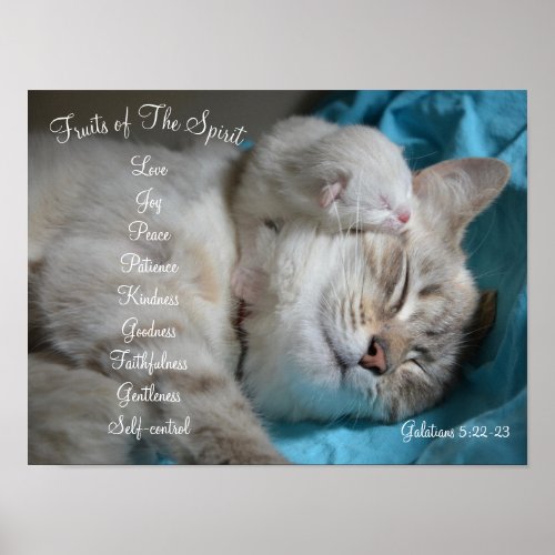 Fruits of The Spirit  with Kittens Poster