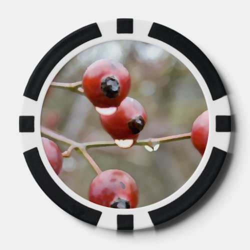 Fruits on a Branch Poker Chips