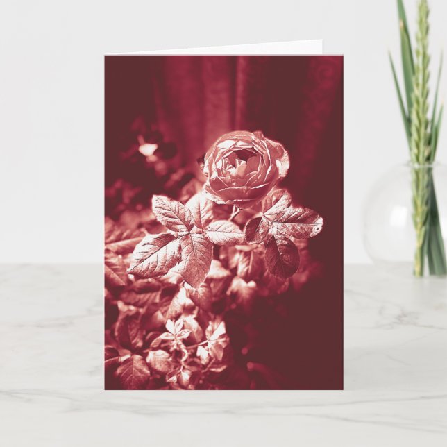 Fruity Parfuma Rose - Thank You Card (Front)