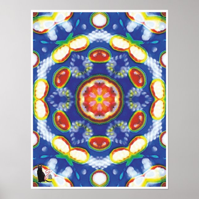 Fruity Tooty Kinetic Collage Kaleidoscope Poster (Front)