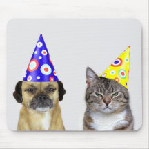 Frustrated dog and cat with party hats