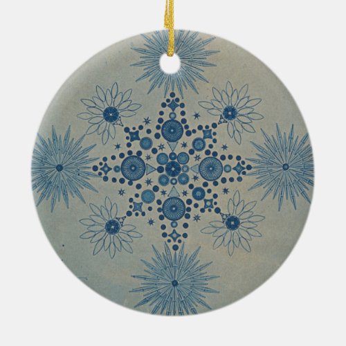 Frustules of Diatoms by Julius Wiesner Ceramic Ornament