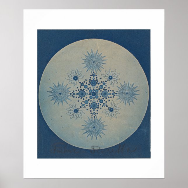 Frustules of Diatoms by Julius Wiesner Poster (Front)