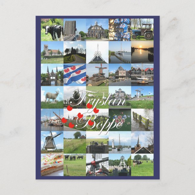 Fryslân Boppe Friesland Photo Postcard Kaart (Front)