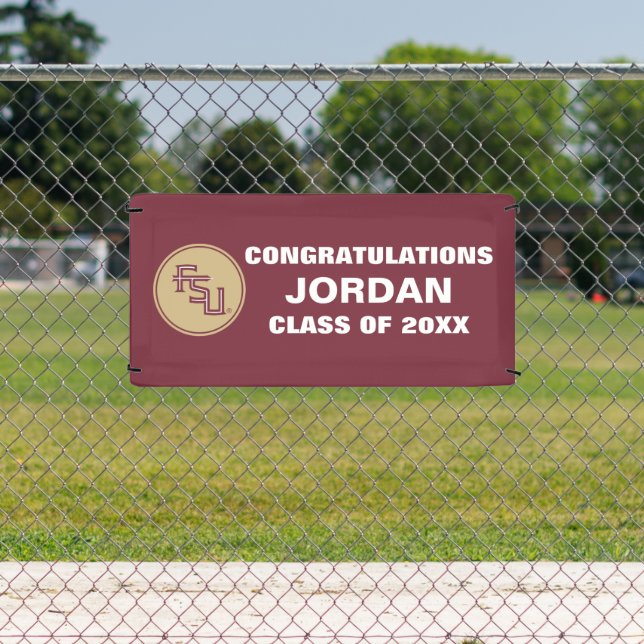 FSU Seminoles Banner (Insitu)
