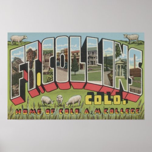 Ft Collins Colorado _ Large Letter Scenes Poster