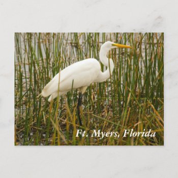 Ft. Myers Postcard by PhotosfromFlorida at Zazzle