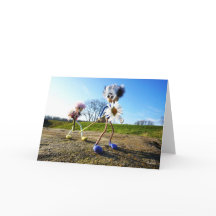 Fubby picking daisy.