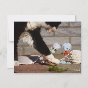 Fubby playing with their friend the cat. note card