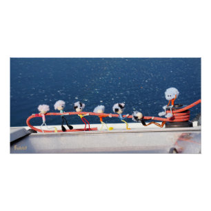 Fubby's running a line from a Zeilboat. Poster