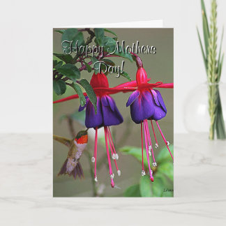 Fuchsia and Hummingbird Mothers Day Card