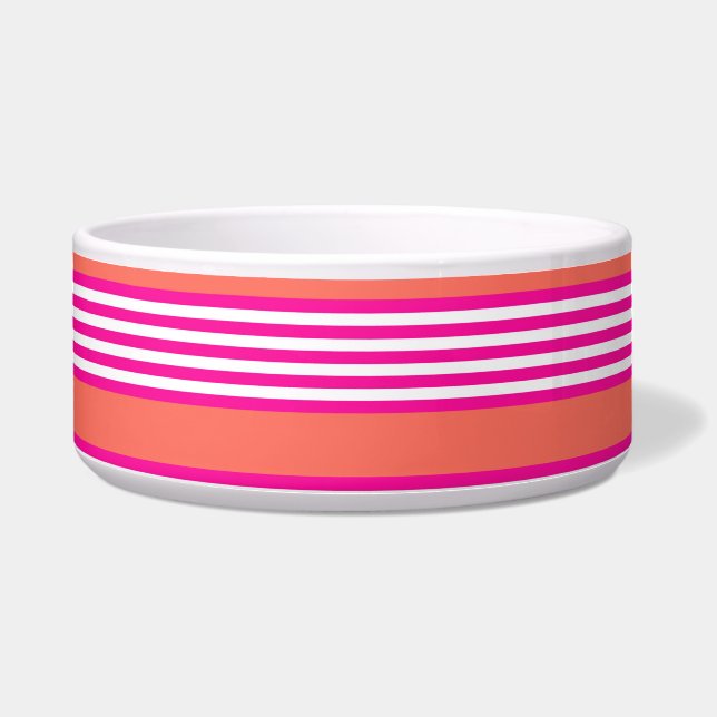 Fuchsia and living coral five stripes pattern bowl (Front)