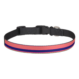 Fuchsia and yellow stripes with navy blue pet collar