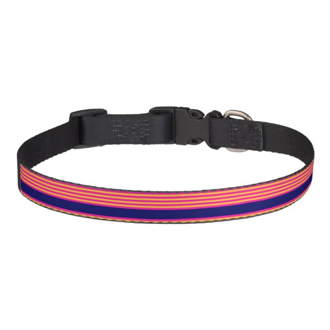 Fuchsia and yellow stripes with navy blue pet collar (Front)
