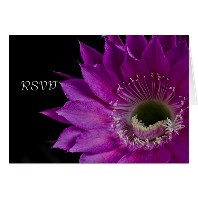 Fuchsia Cactus flower RSVP Cards (Front Horizontal)