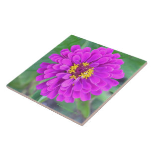 FUCHSIA-COLORED FLOWER CERAMIC TILE