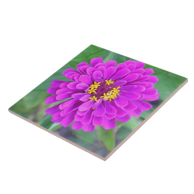  FUCHSIA-COLORED FLOWER CERAMIC TILE (Side)