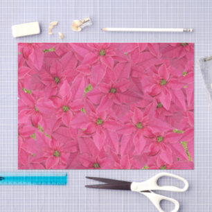 Fuchsia colored poinsettias, floral pattern tissue paper